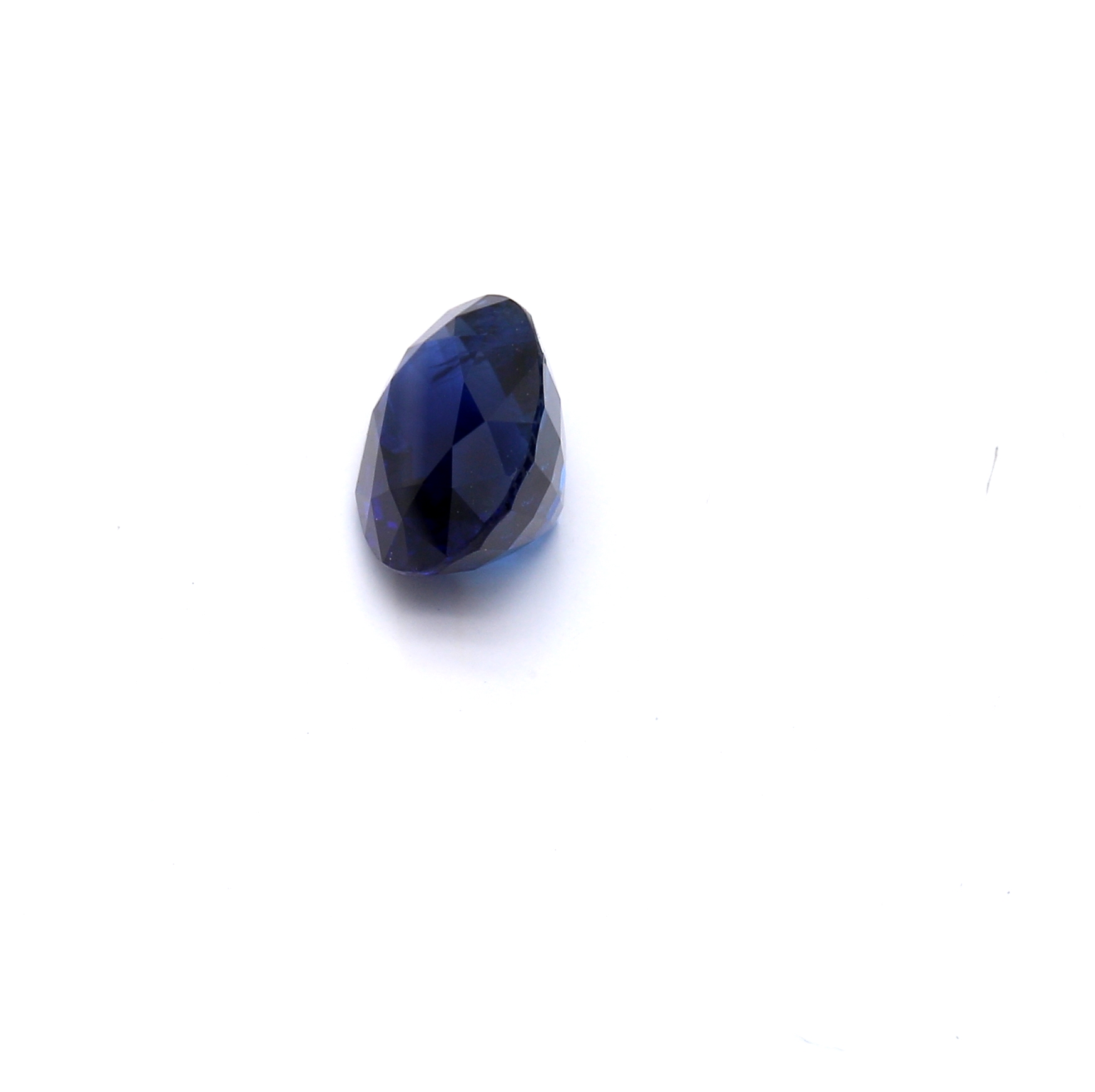 8042_2.JPG